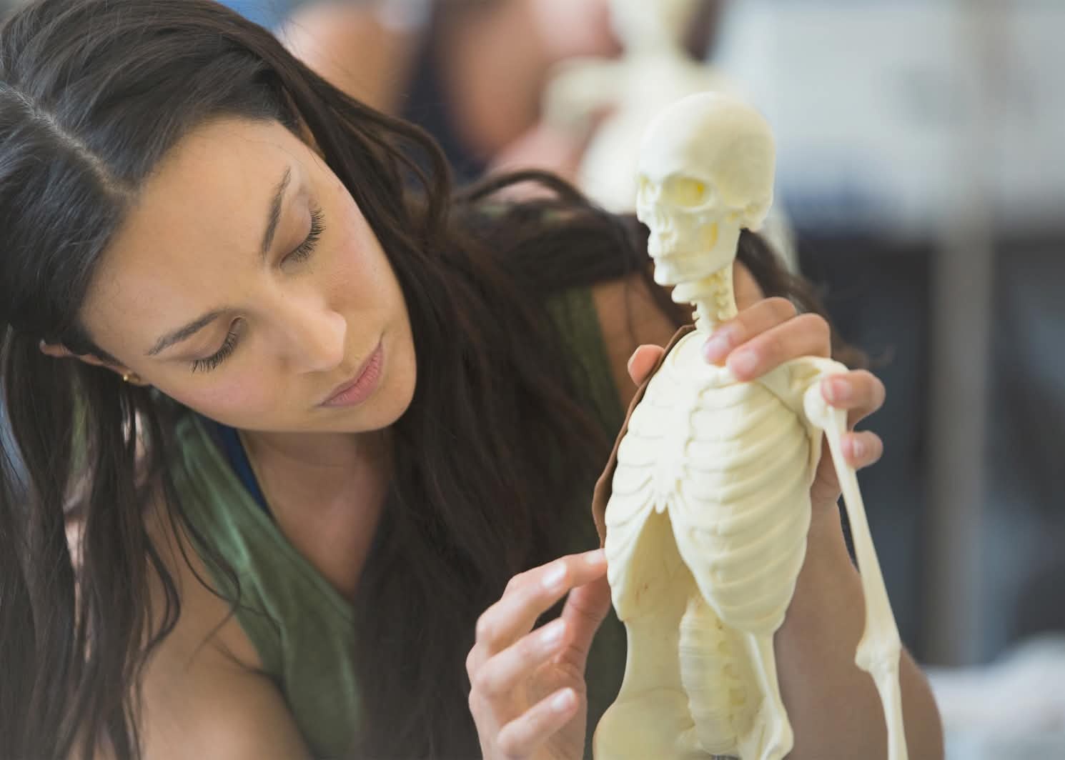 skeleton model