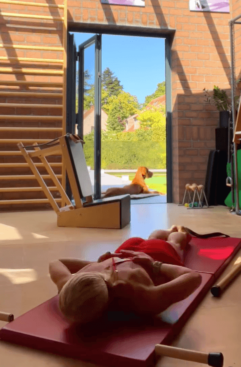 Contrology Folding Mat in Dark Cherry